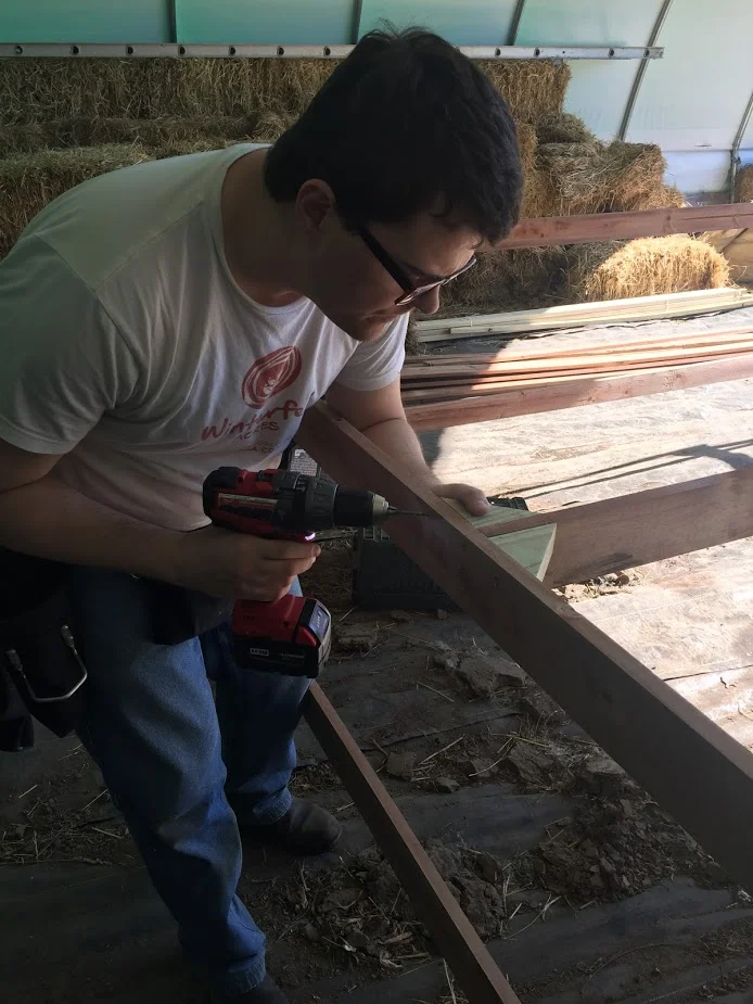 Building Coops 5.JPG