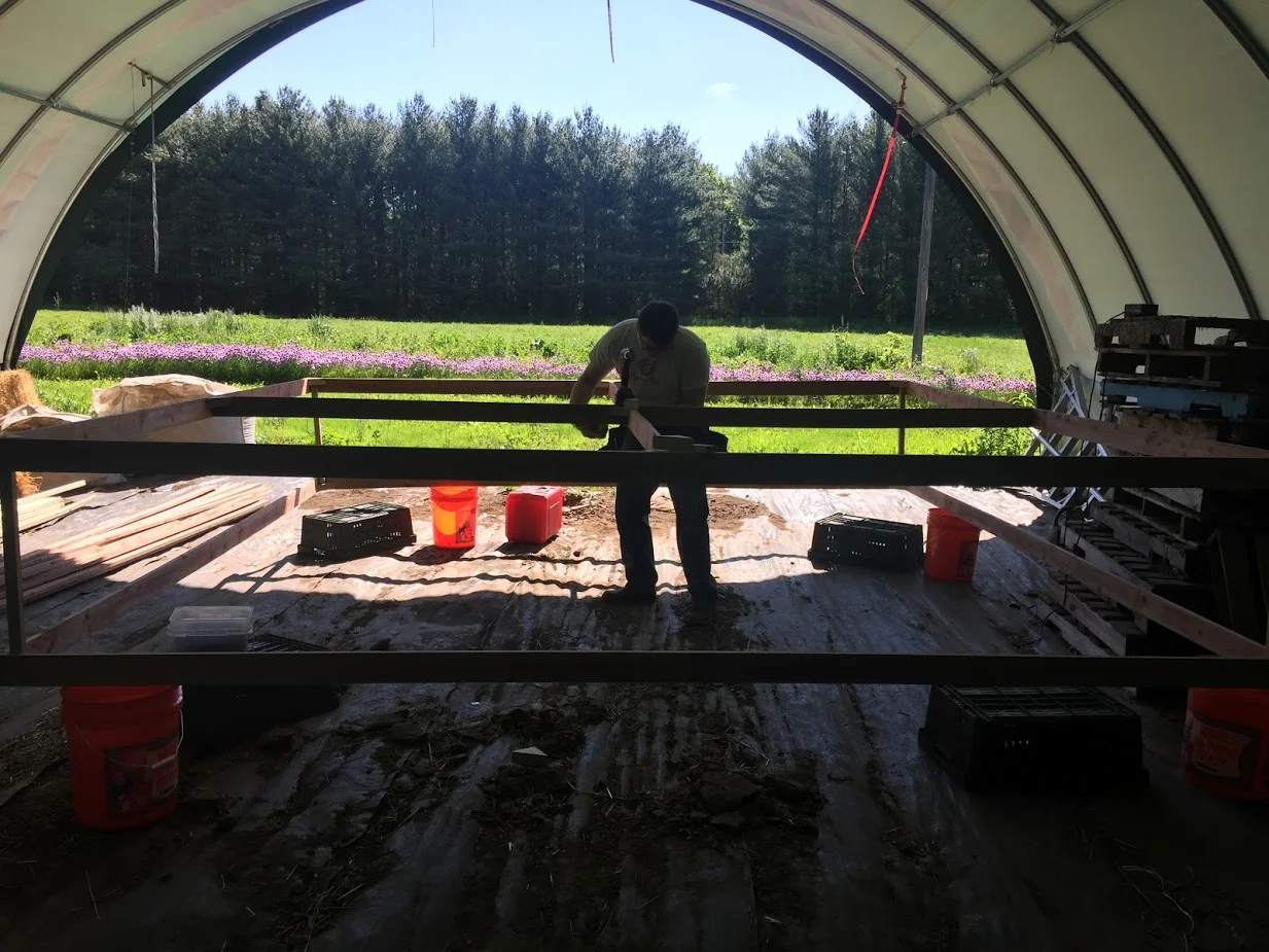 Building Coops 6.JPG