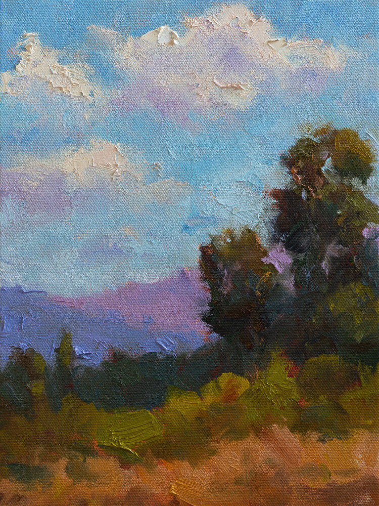 Study of Kurt's landscape