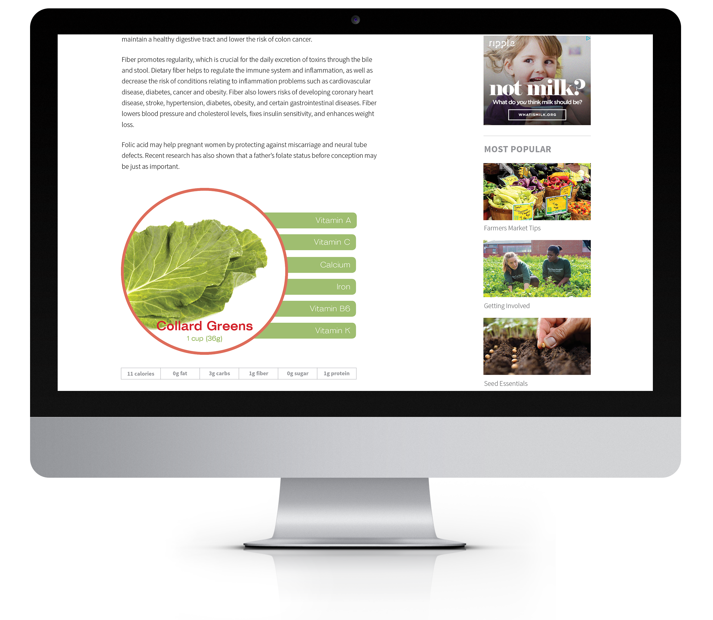 mockup_superfoods2.png
