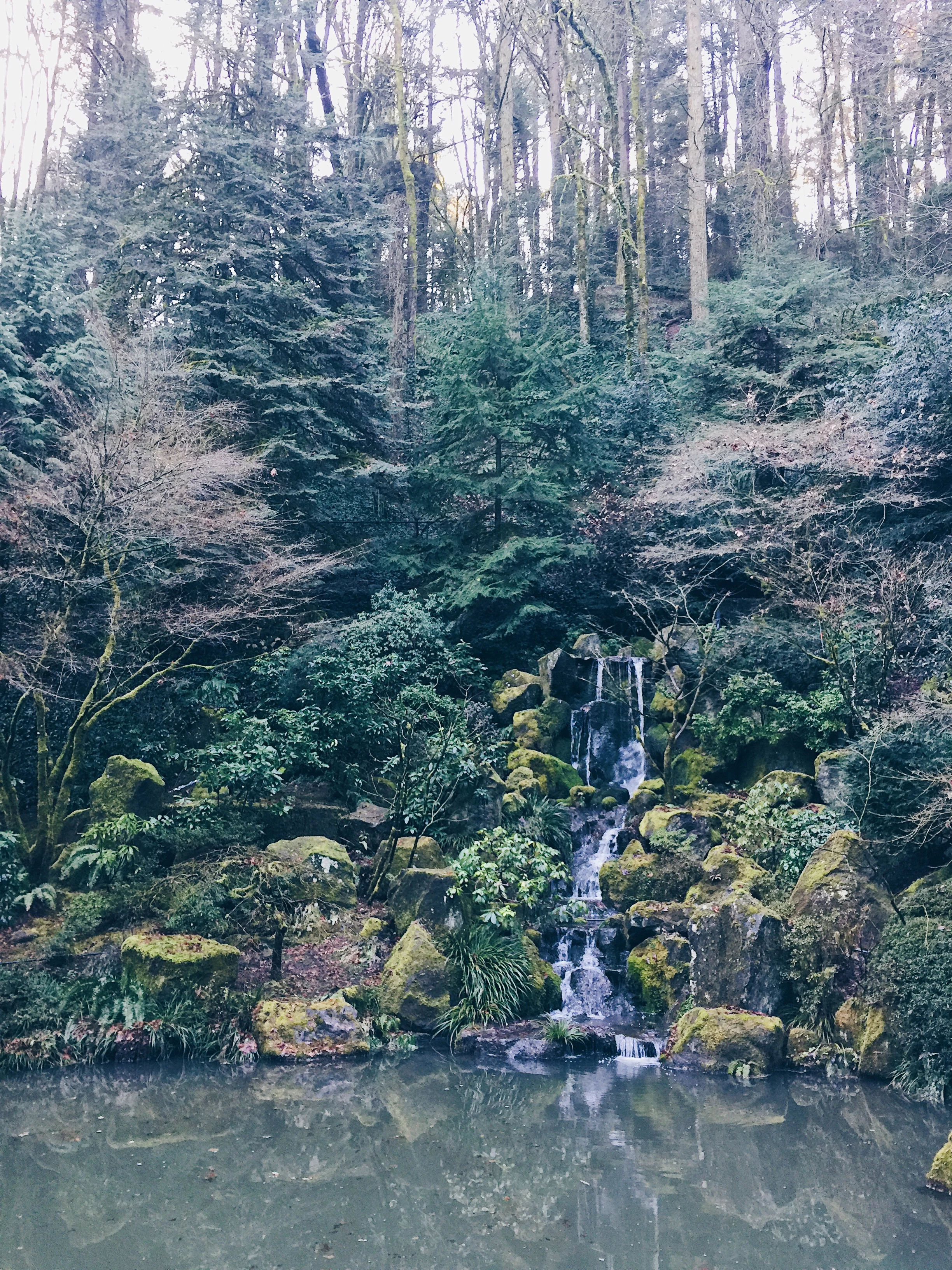 Portland Japanese Garden