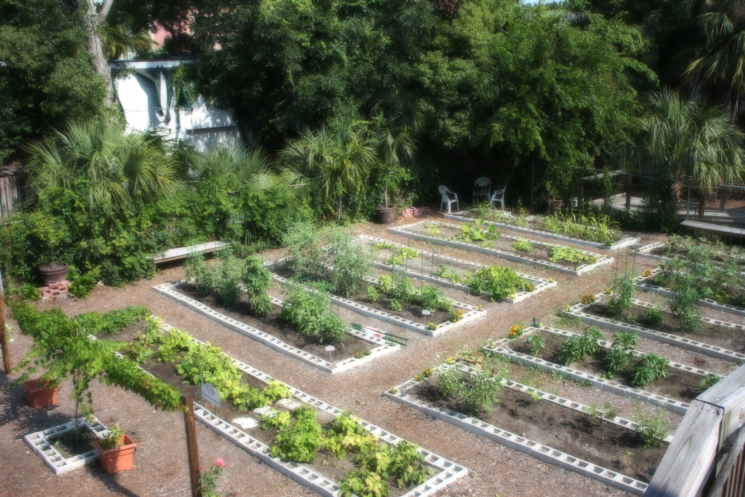 From muscadine vines and fig trees to sungold tomatoes and heirloom okra,&nbsp;the Chef's Garden at 29 South provides the kitchen with the freshest ingredients available.