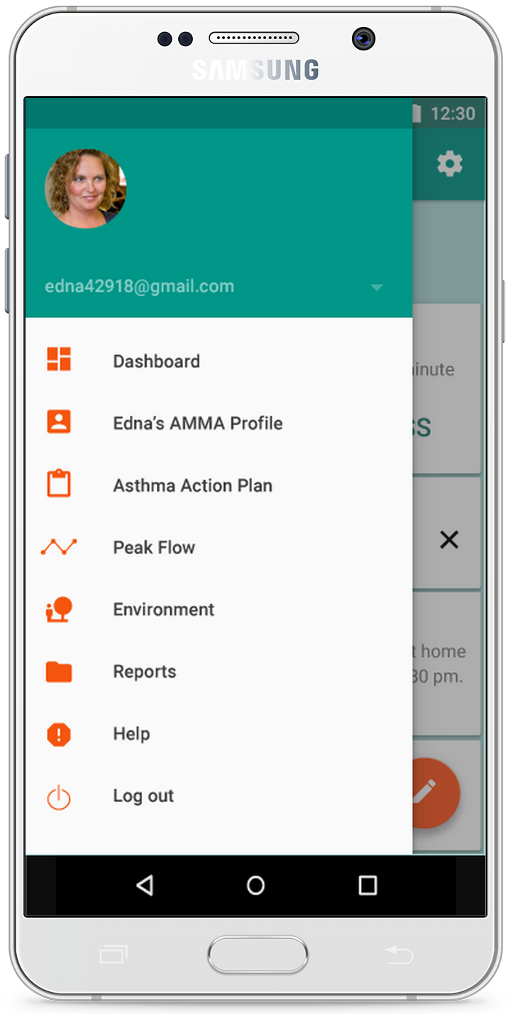 Hamburger menu