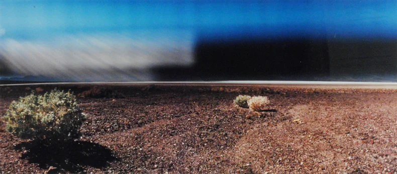 Desert Spring by Robert Lubell