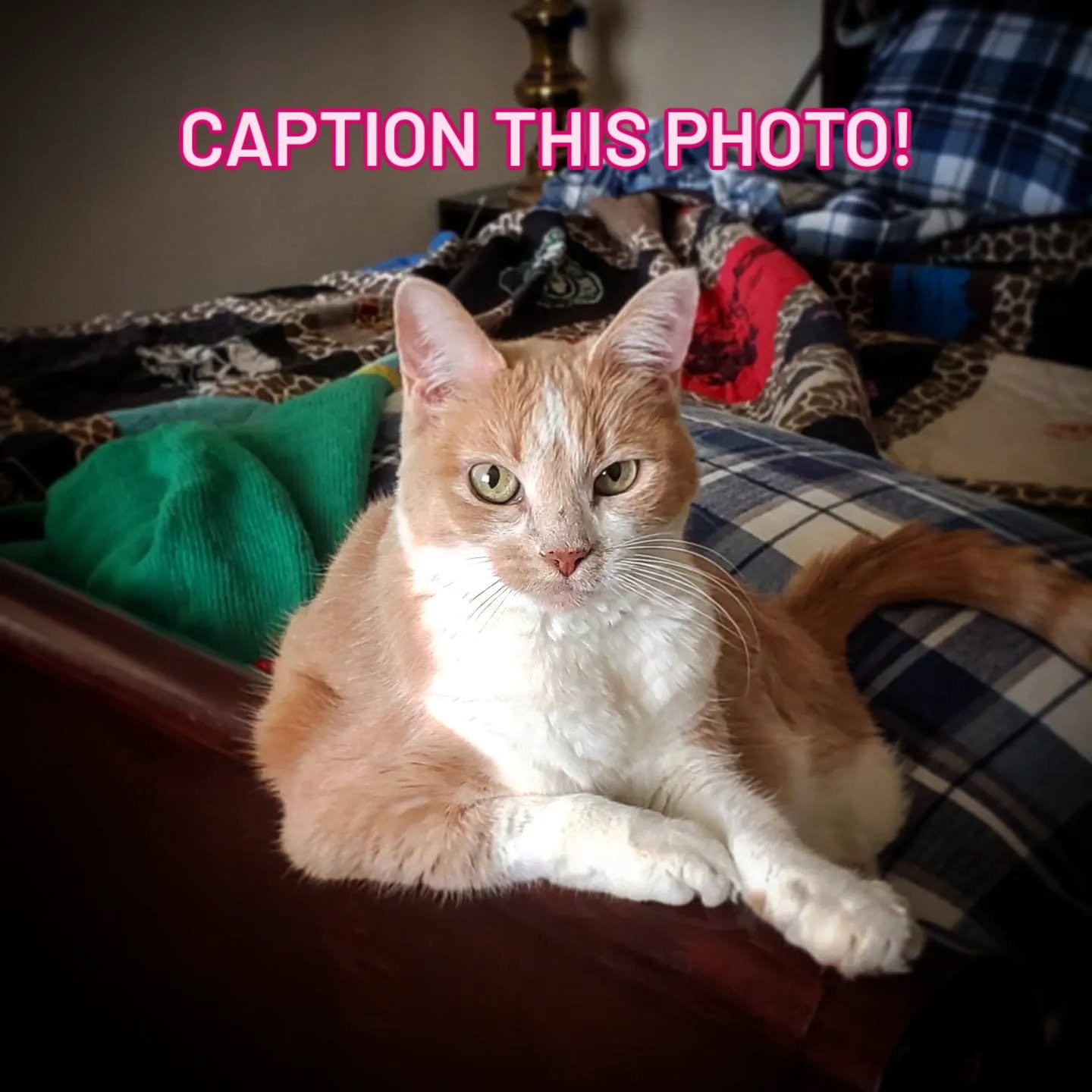 Let's play a game! Caption the above photo! The winner gets a free popcorn at this week's show! We'll pick our favorite caption on Thursday evening and message the winner! Good luck! #otccomedy #cedarcity #southernutah #stgeorge #suu #livecomedy #liv