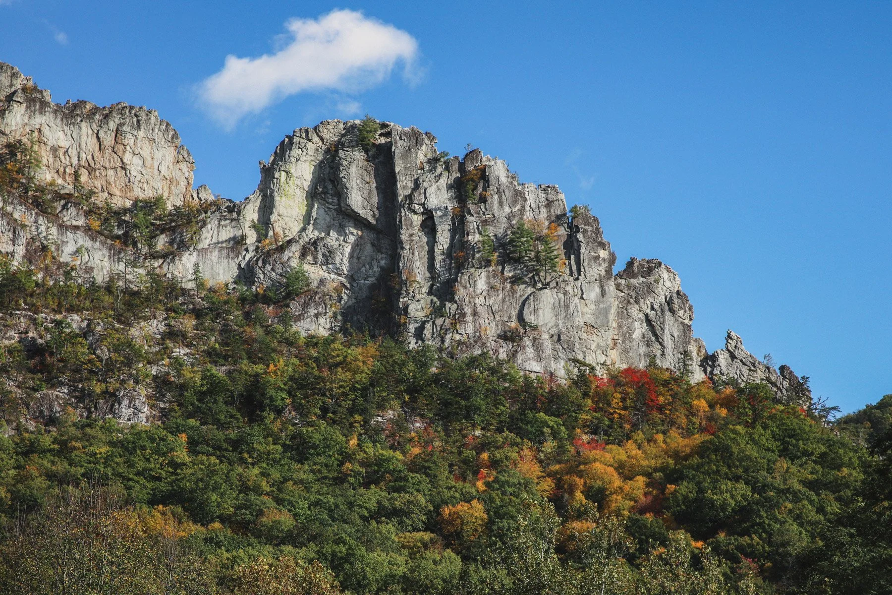 SenecaRocks_WestVirginia00_2021.jpg