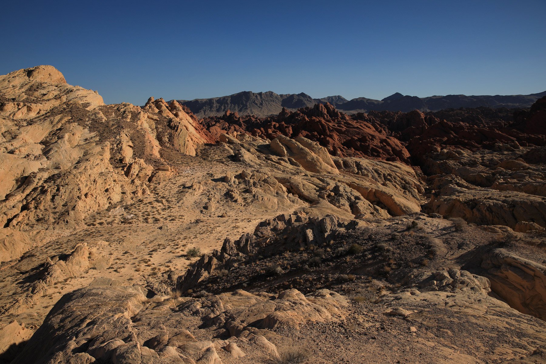 ValleyOfFire_Nevada2021.jpg