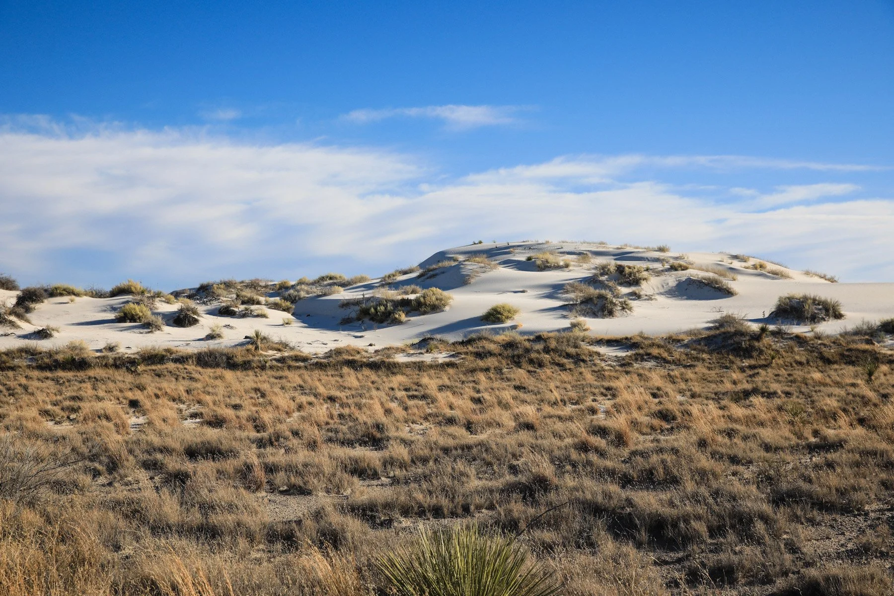 WhiteSands_NewMexico2021.jpg