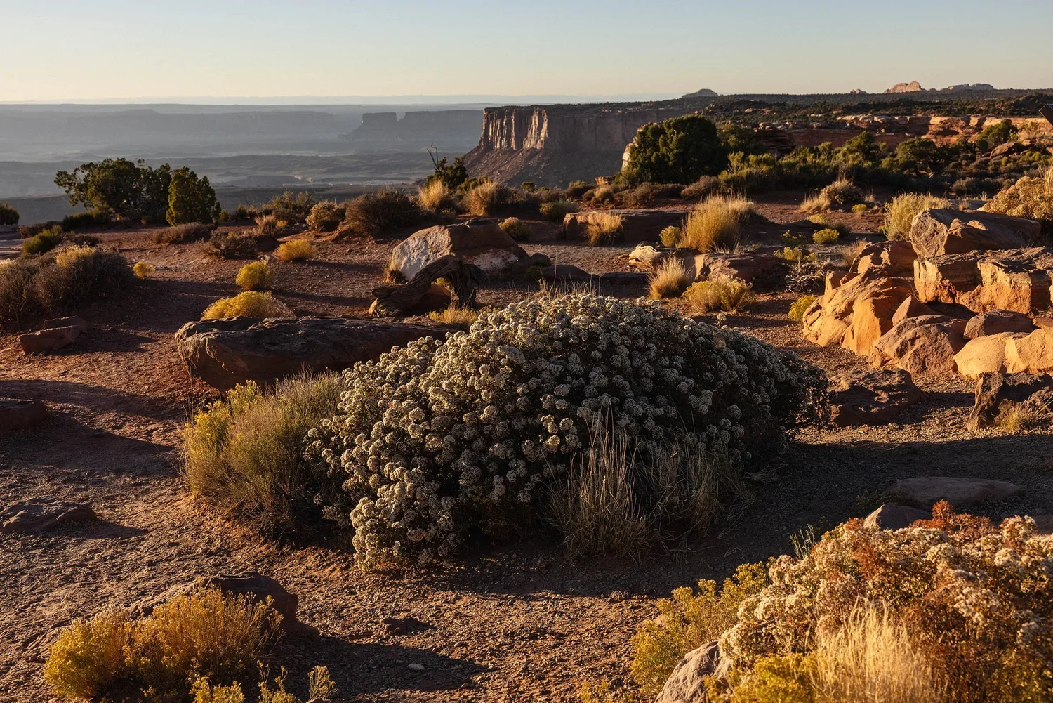 CanyonlandsNationalPark_September2024-31a_online.jpg.webp