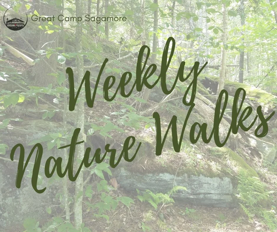 Weekly Nature Walks FB Post.jpg