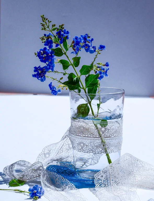 Blue flower