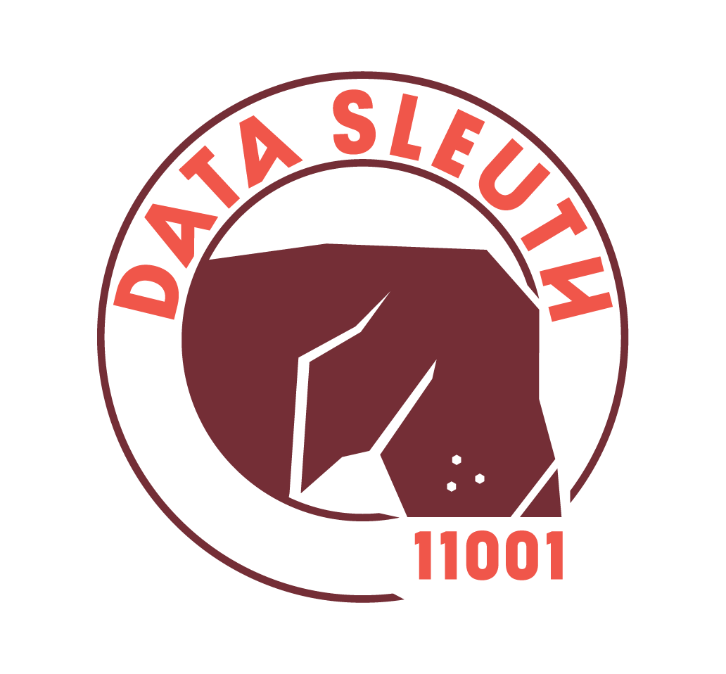 data sleuth logo-03.png