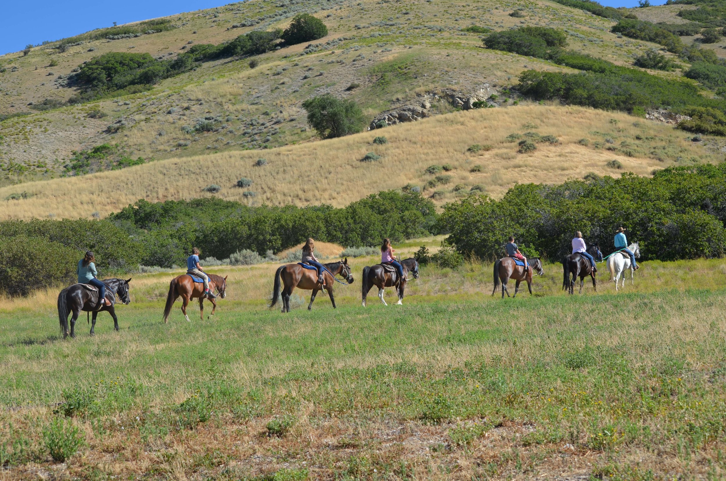 horseback-trail-rides_1.jpg