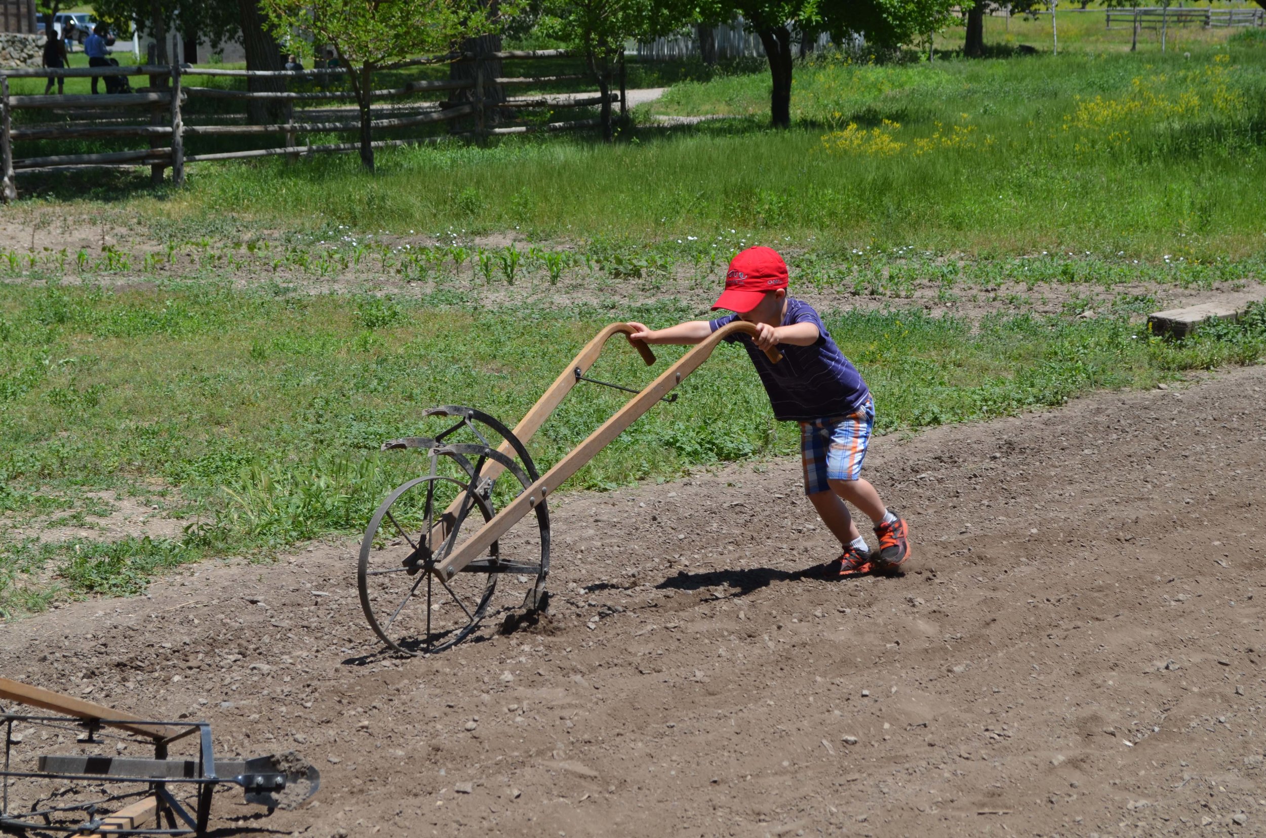 pioneer-chores_1.jpg