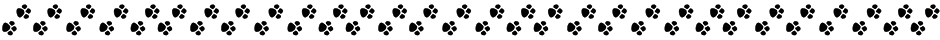 paw-prints.jpg