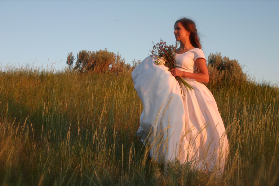 bride-standing-in-field.jpg
