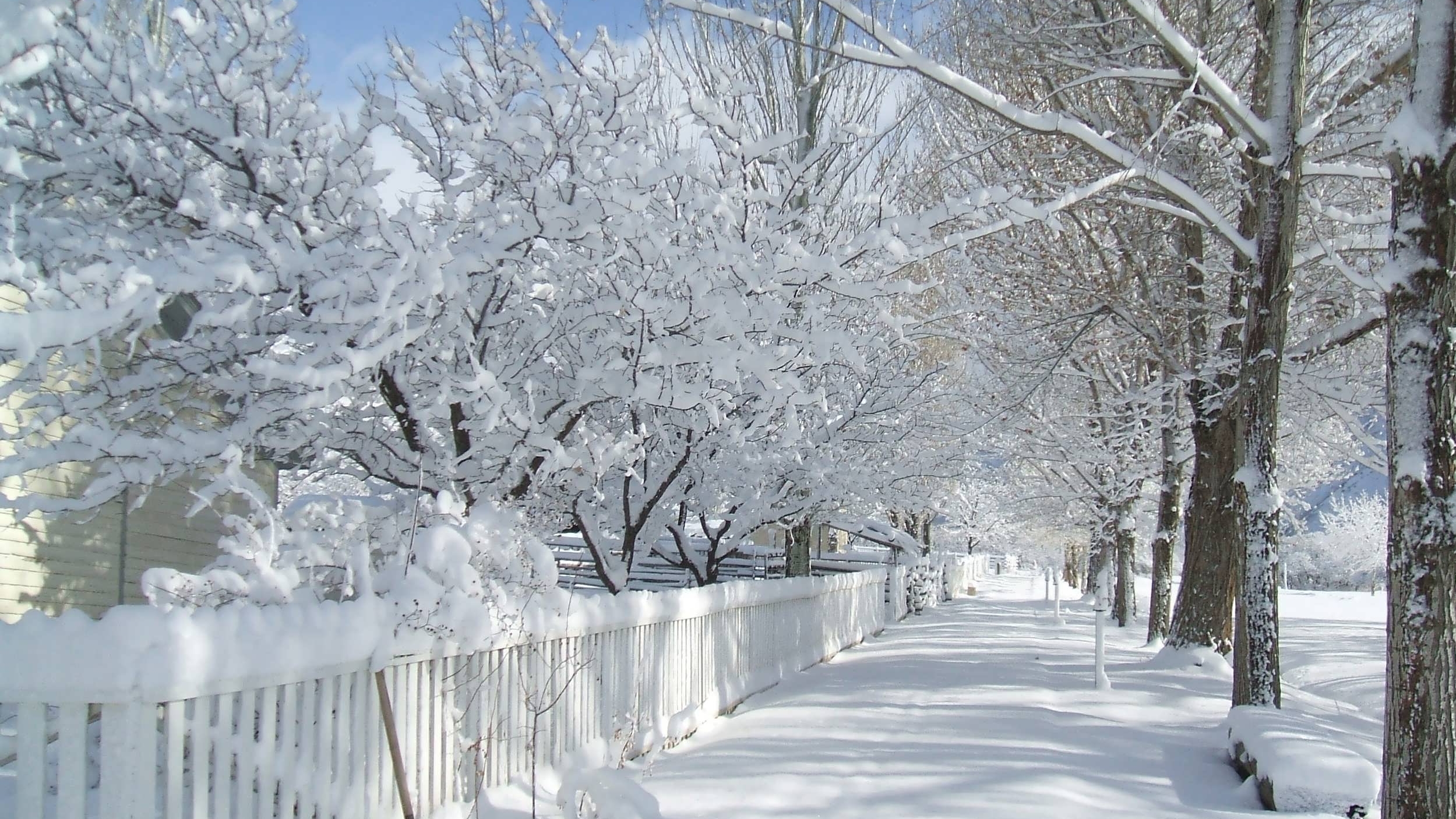 Sidewalk snow.jpg