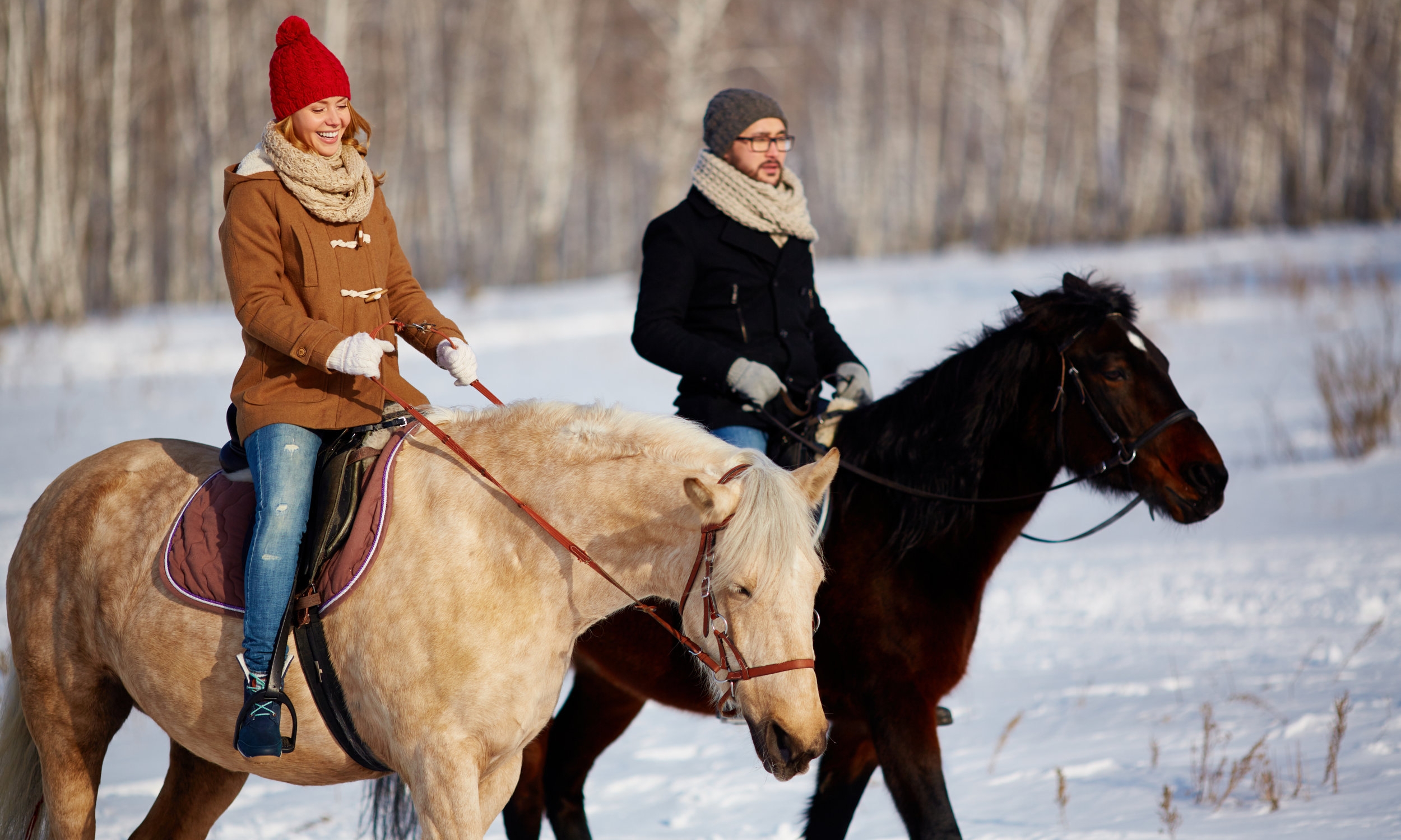 winter rides 1.jpg