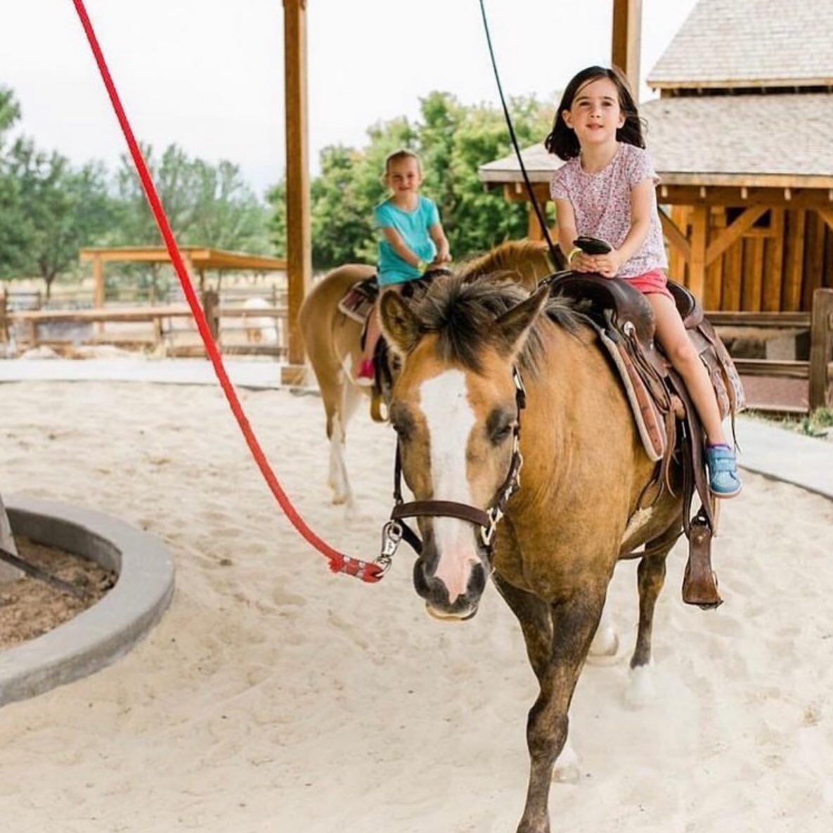 We gotta admit that the pony rides are one of our favorite things to do in the park 🐴🤍✨

#thisistheplace #visitutah #utahgram #utahisrad #utahstateparks #ponyride #utahfun #utahfamily #visitsaltlake