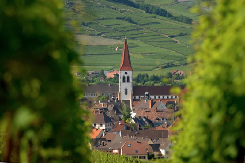 Jean-Baptiste-Adam-Vineyard-2.jpg
