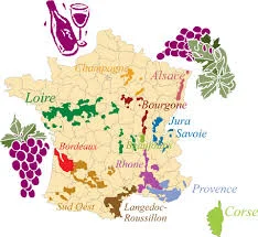 French Wine tasting