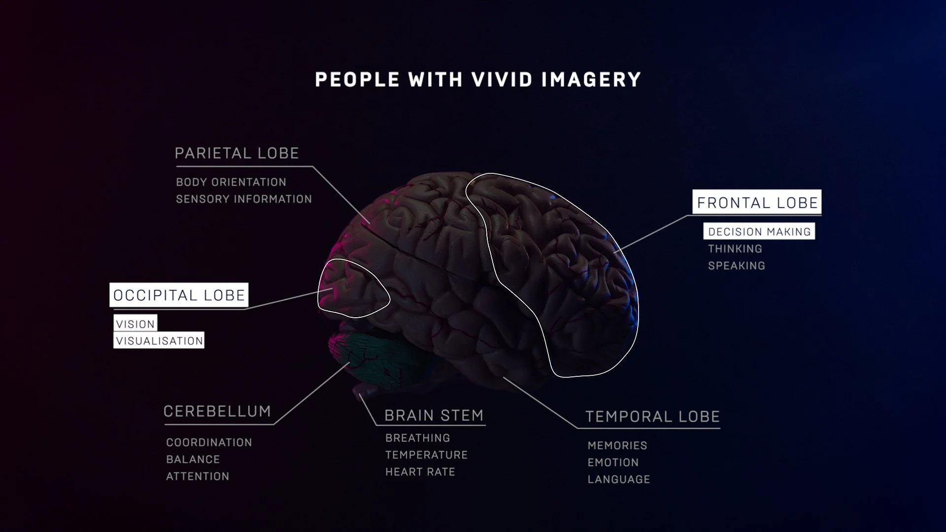 047 Wired Aphantasia Online v1.9.00_09_37_18.Still082.jpg