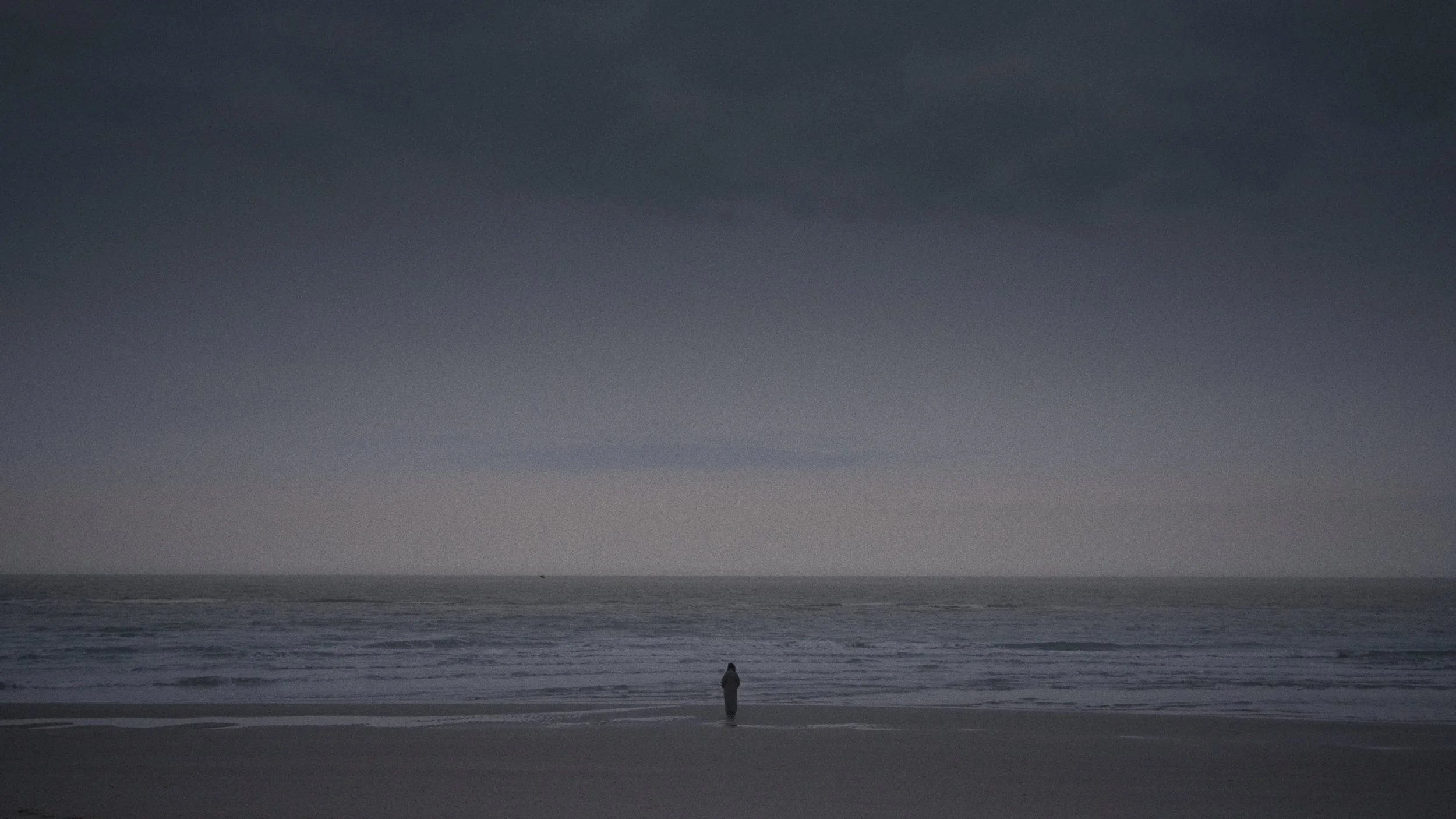 THE ARTISTS - Social Media Versions_00_43_42_03.jpg