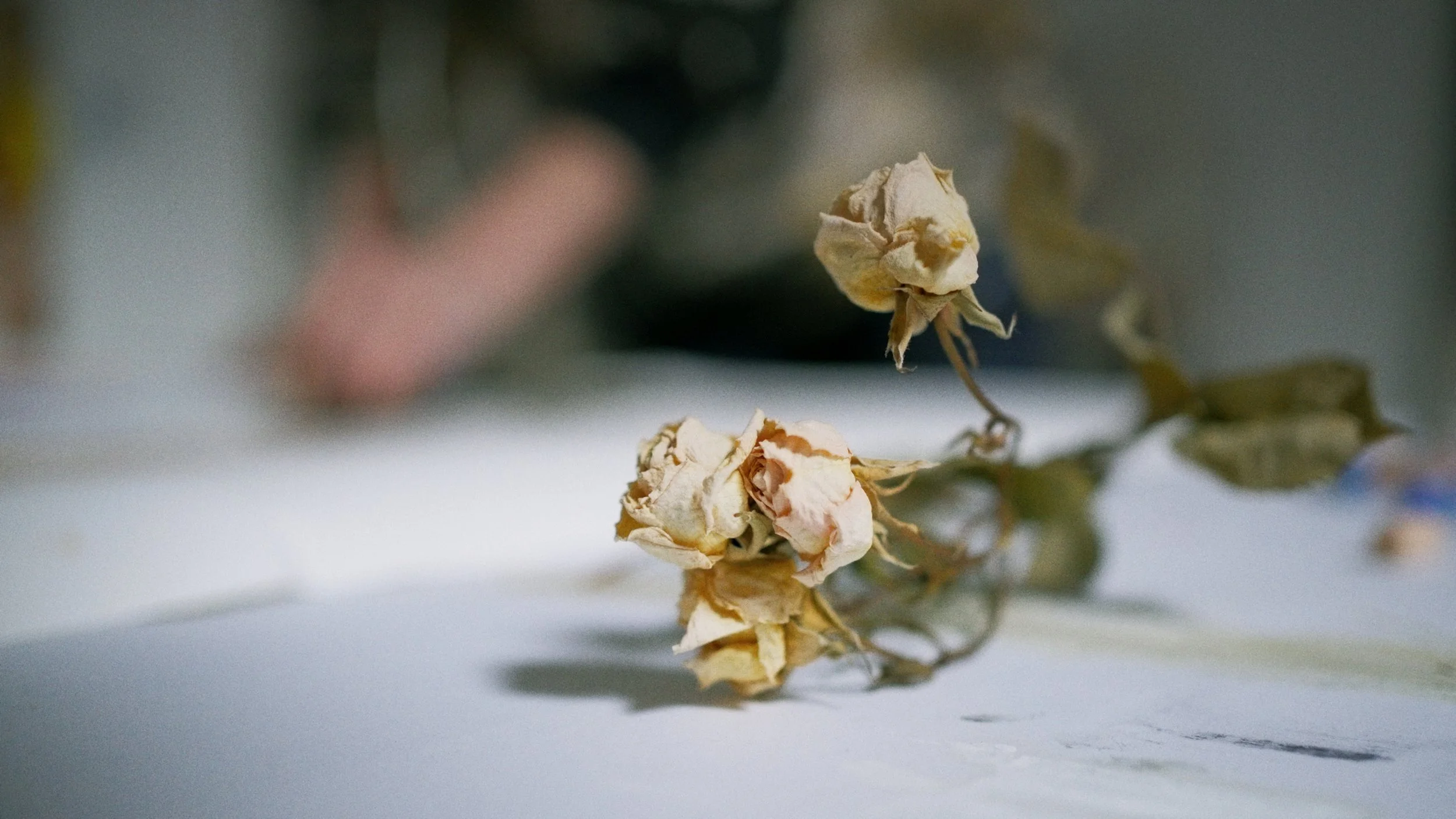 THE ARTISTS - Social Media Versions_00_47_04_14.jpg