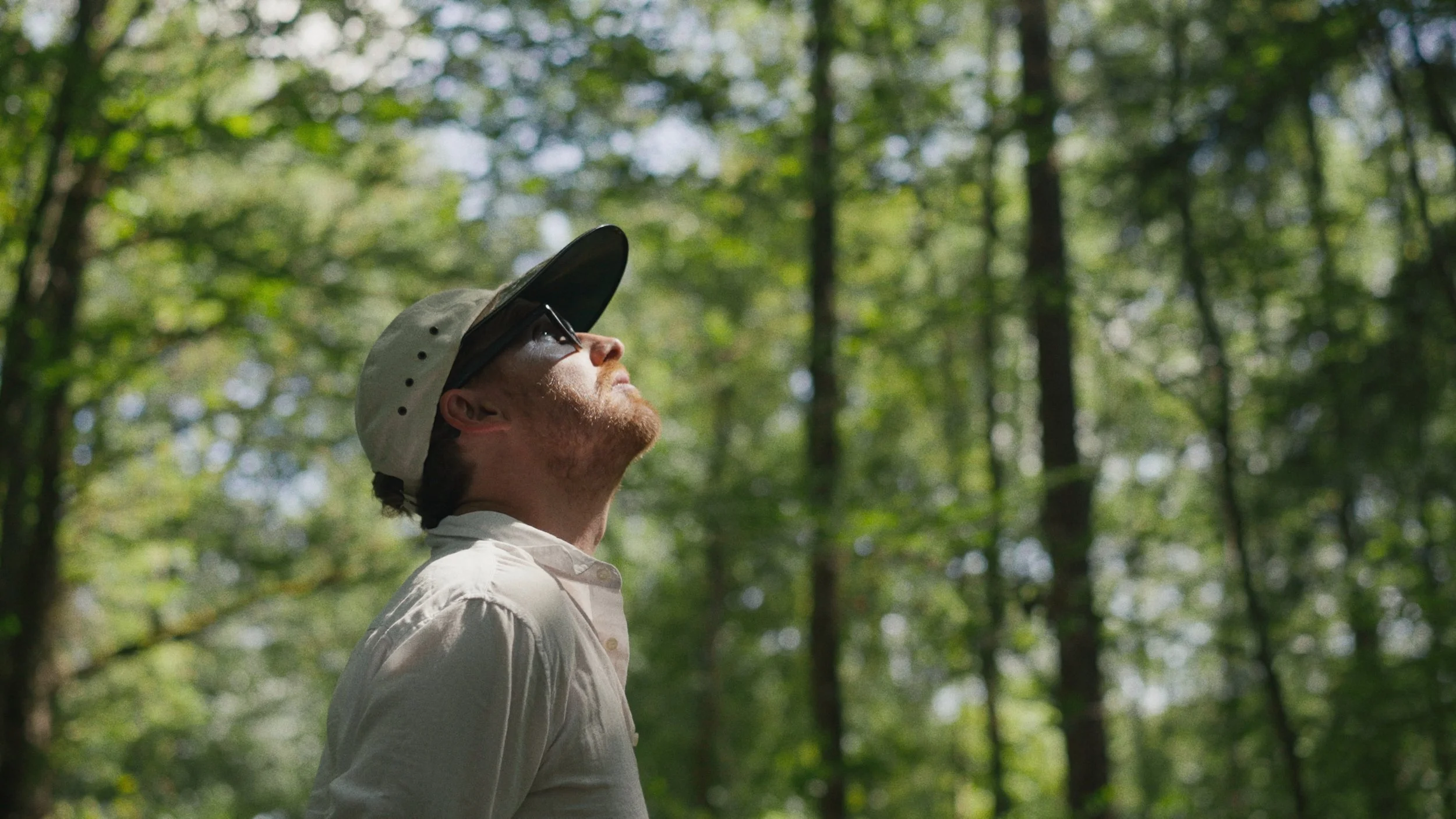 THE ARTISTS - Social Media Versions_00_31_14_21.jpg