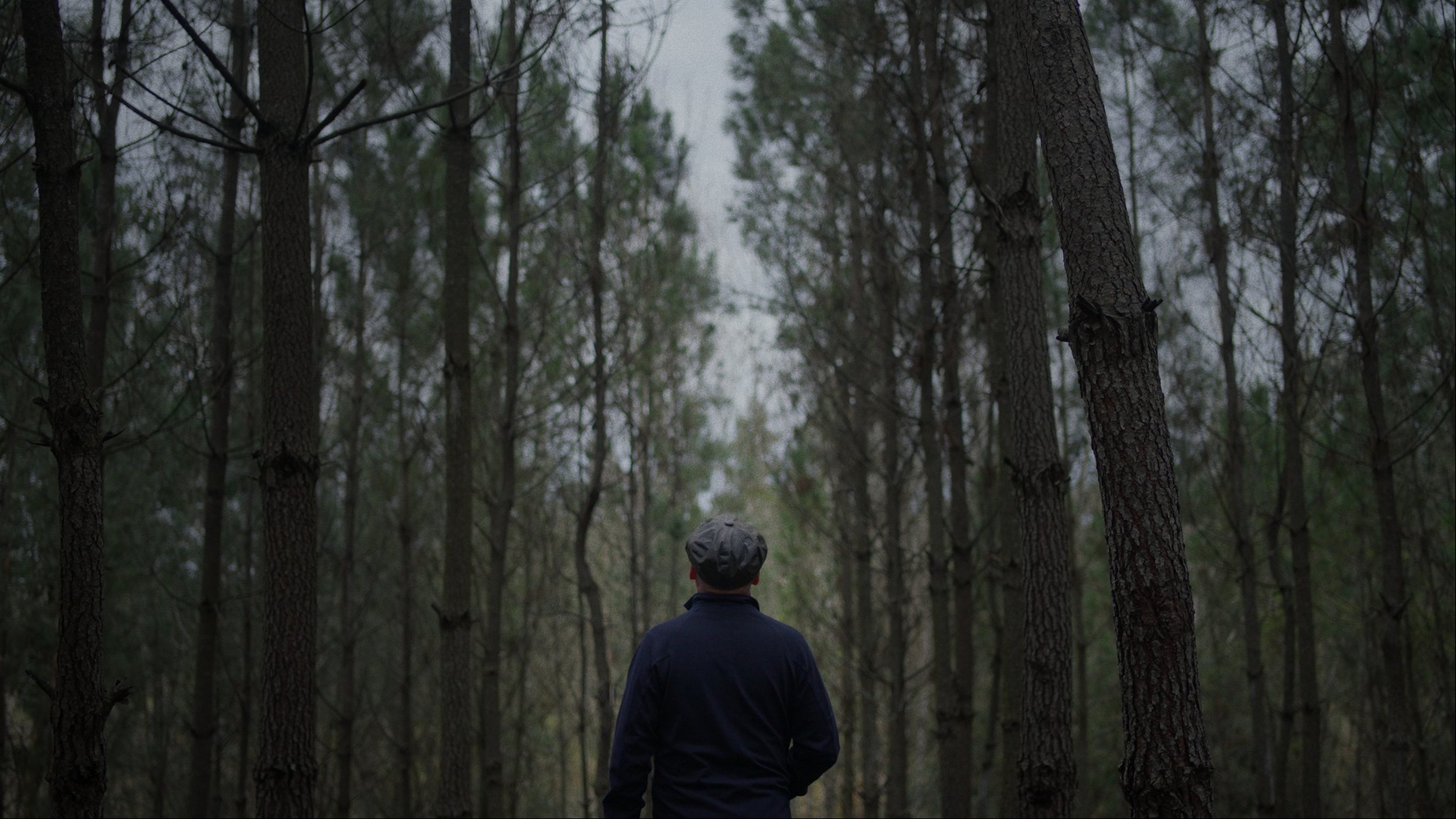 THE ARTISTS - Social Media Versions_00_00_39_19.jpg