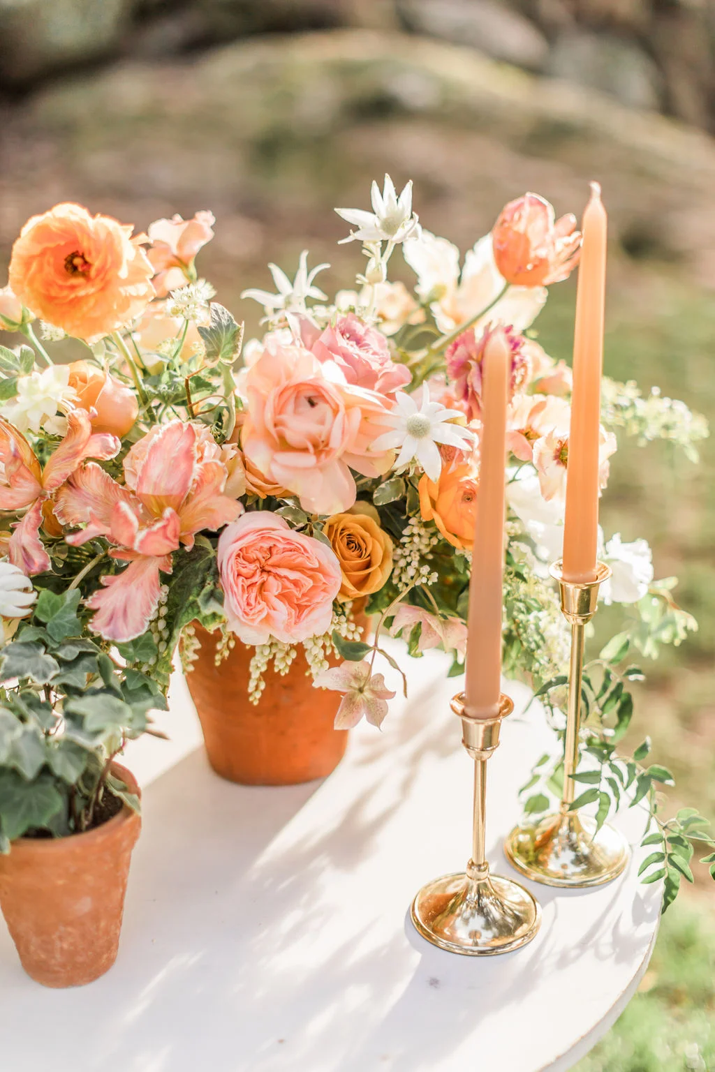 20190307_KatieJacksonPhotography-89.jpg