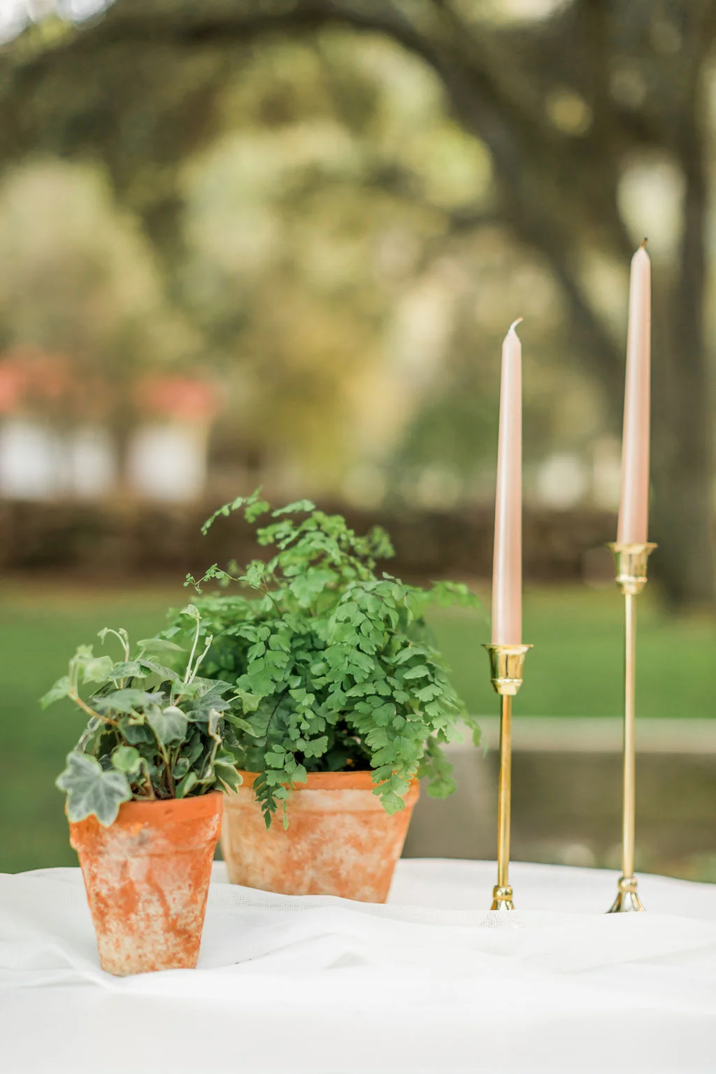 20190307_KatieJacksonPhotography-102.jpg
