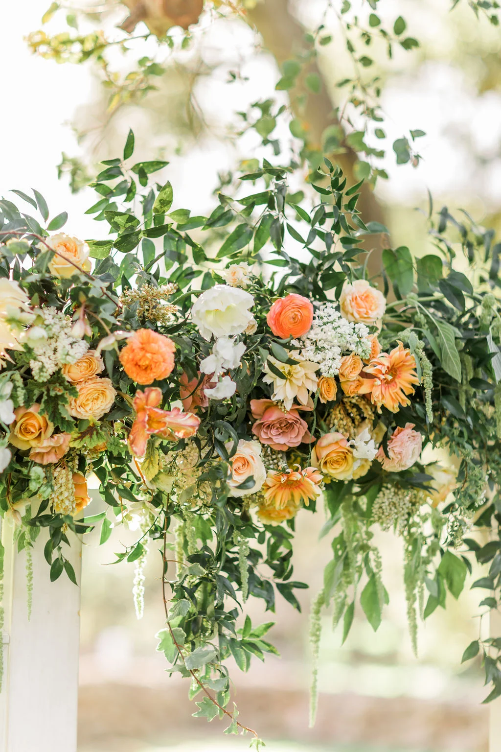 20190307_KatieJacksonPhotography-197.jpg