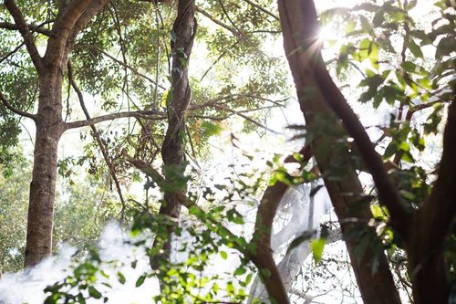 Vision Quest Ceremony Nature Philosophy