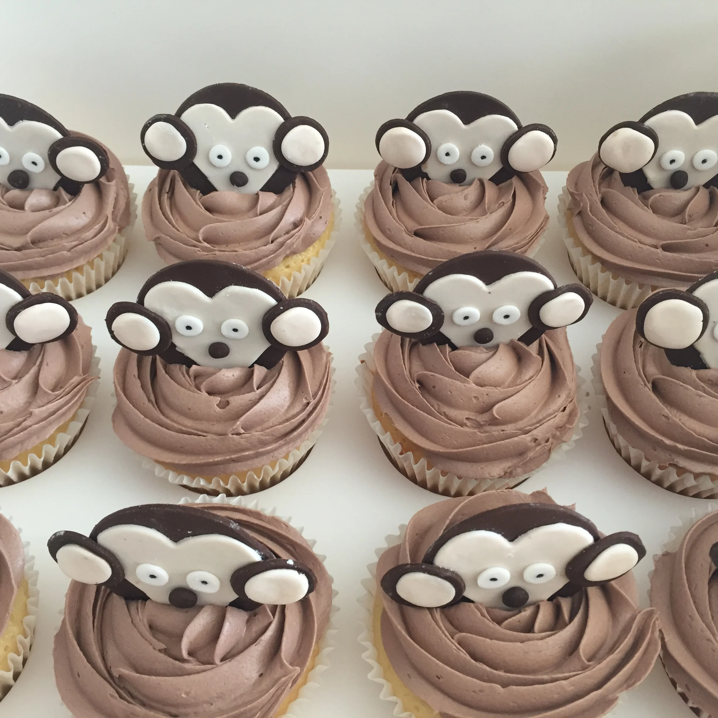 Cupcakes Perth — The Sweeter Side Cakes