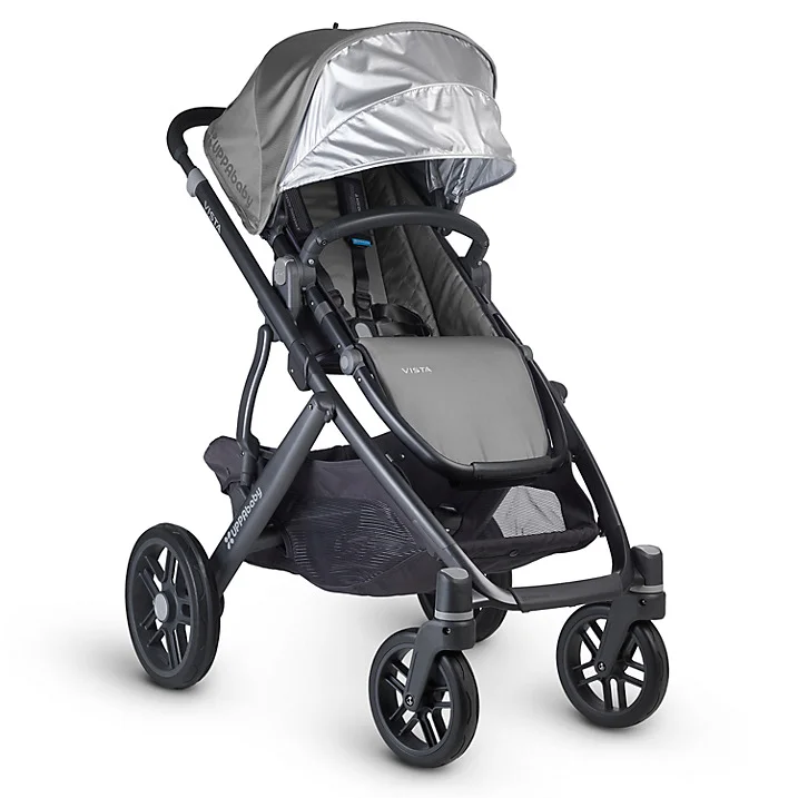 Upper baby Vista 2017 2.jpg