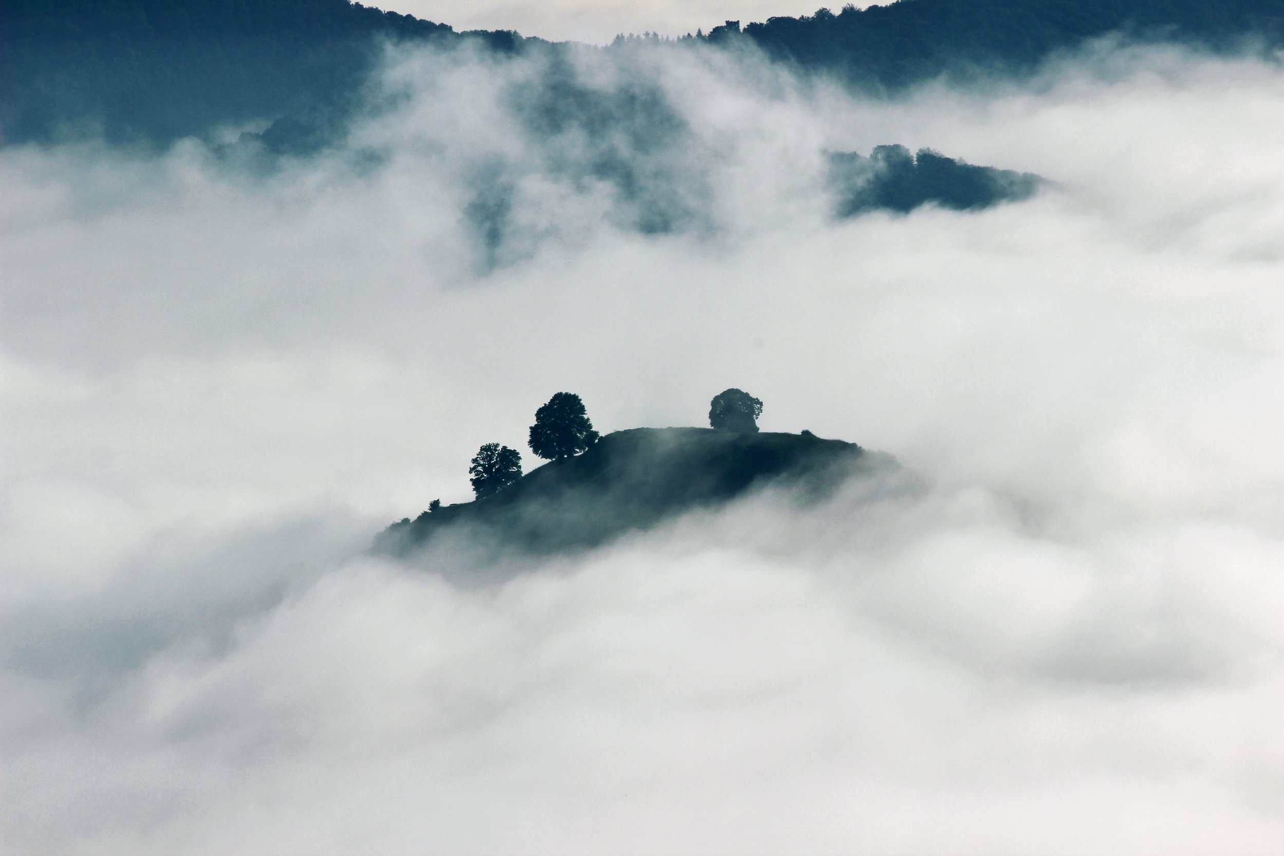jan-schulz-webdesigner-stuttgart-99749-unsplash.jpg