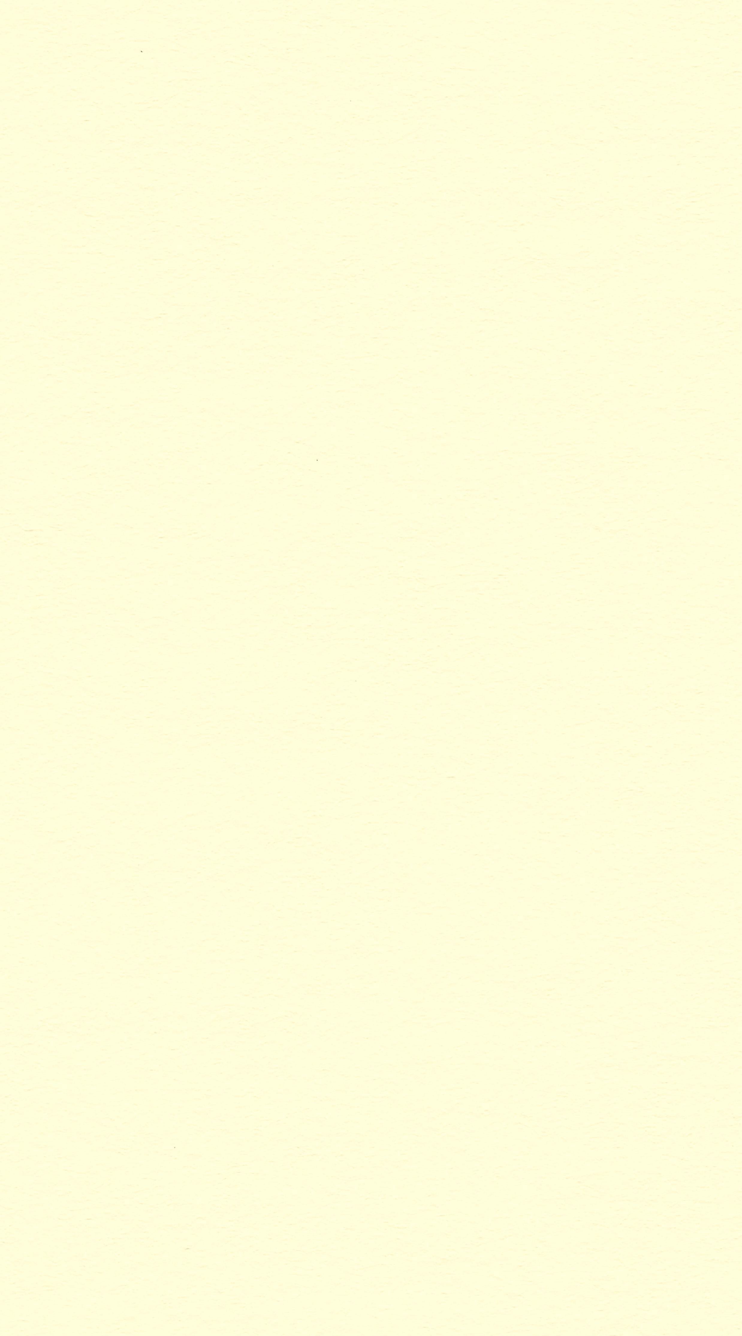 Ivory *