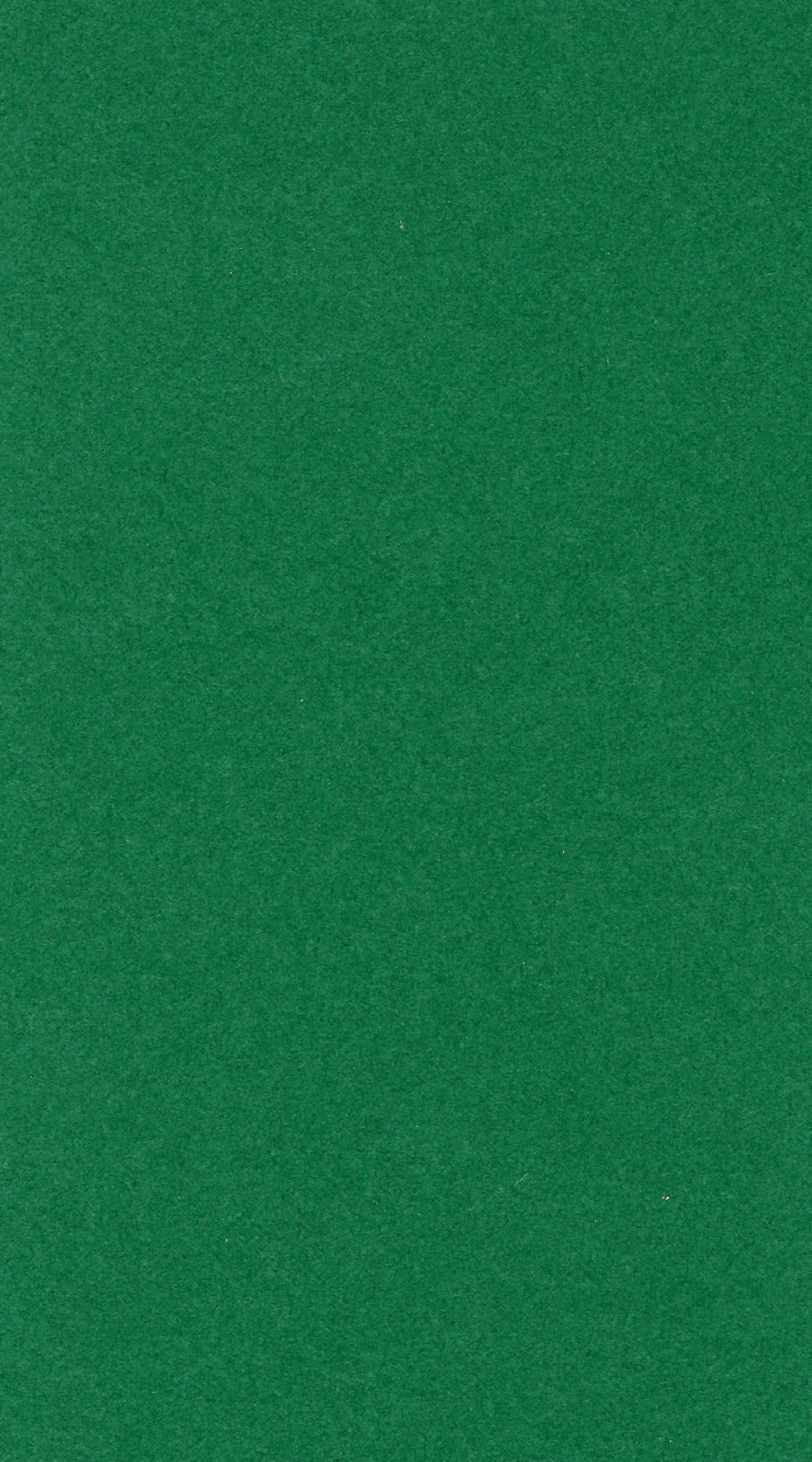 Shamrock *
