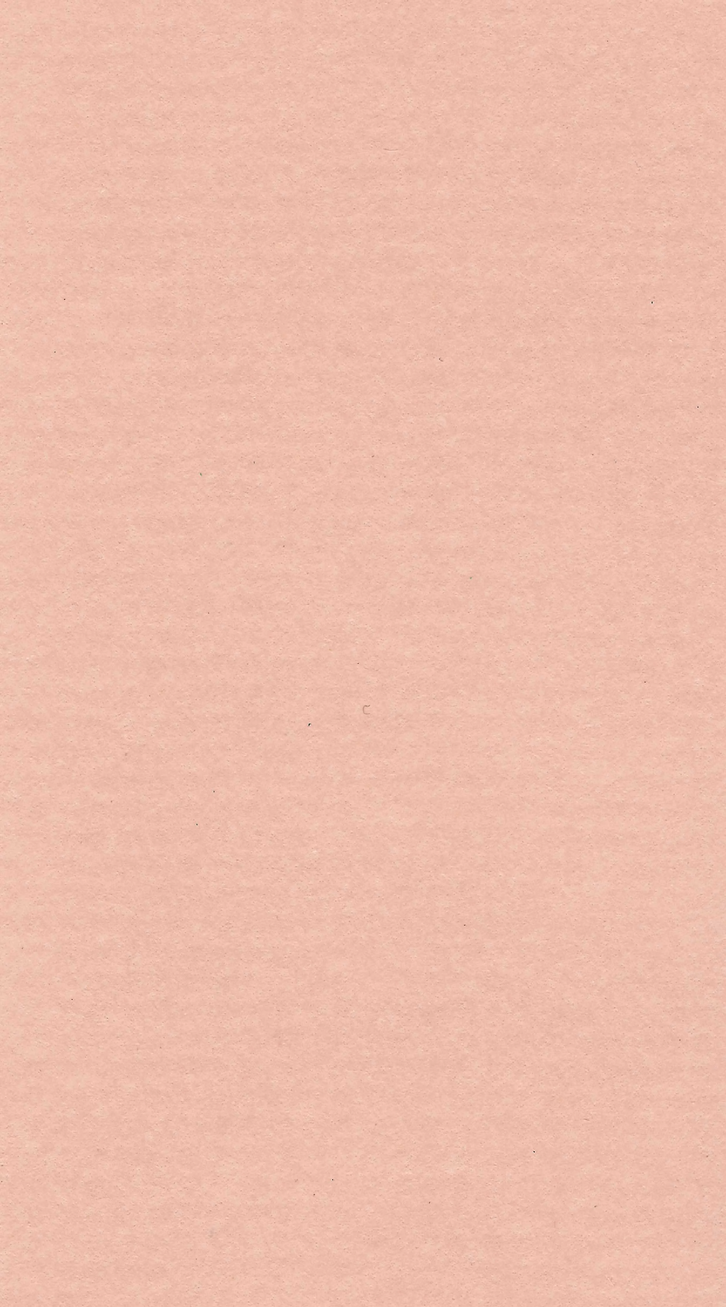 Dusty Pink *