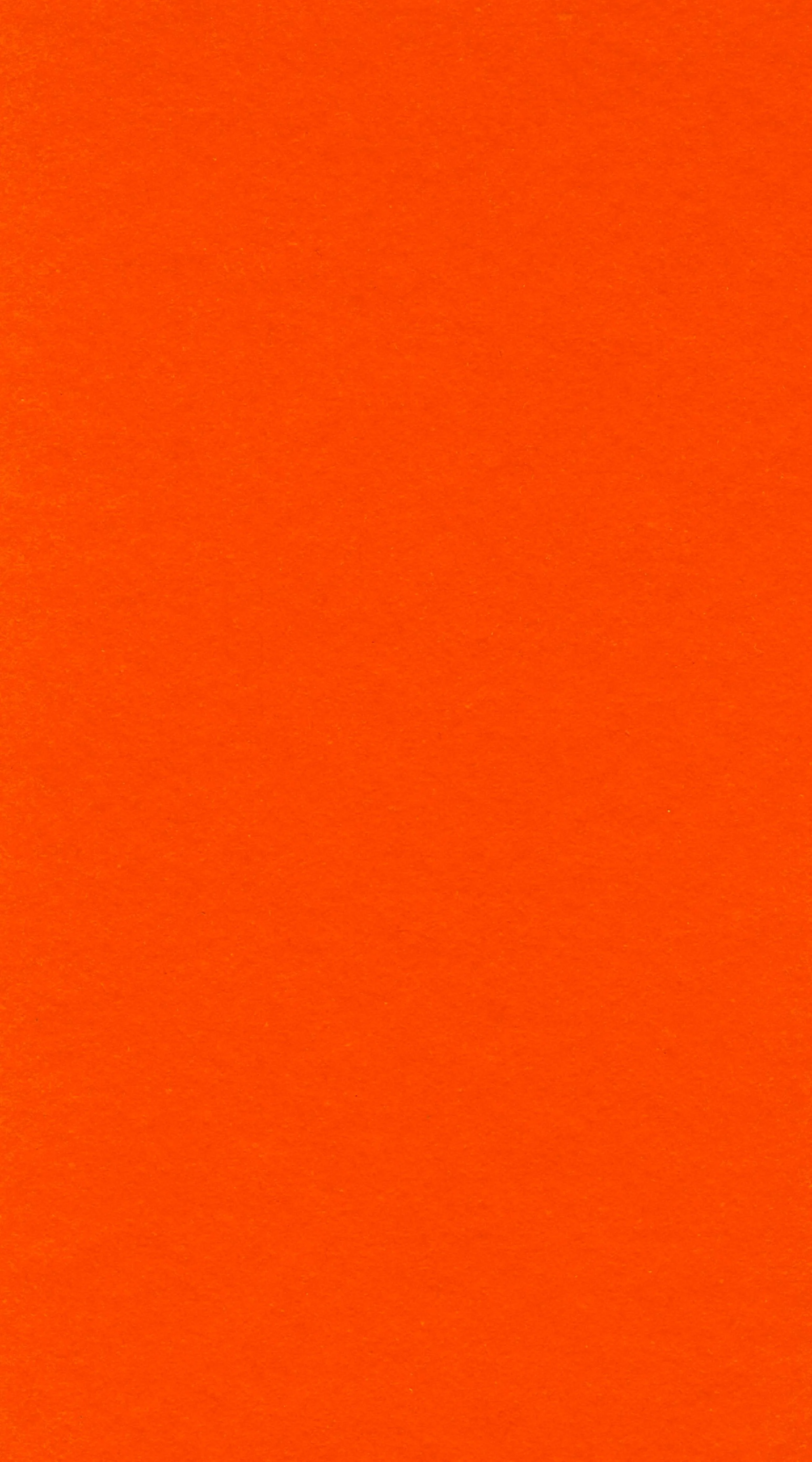 Persimmon *