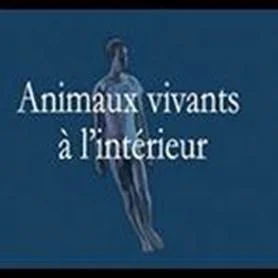 aimaux vivants à l'intérieur.jpg