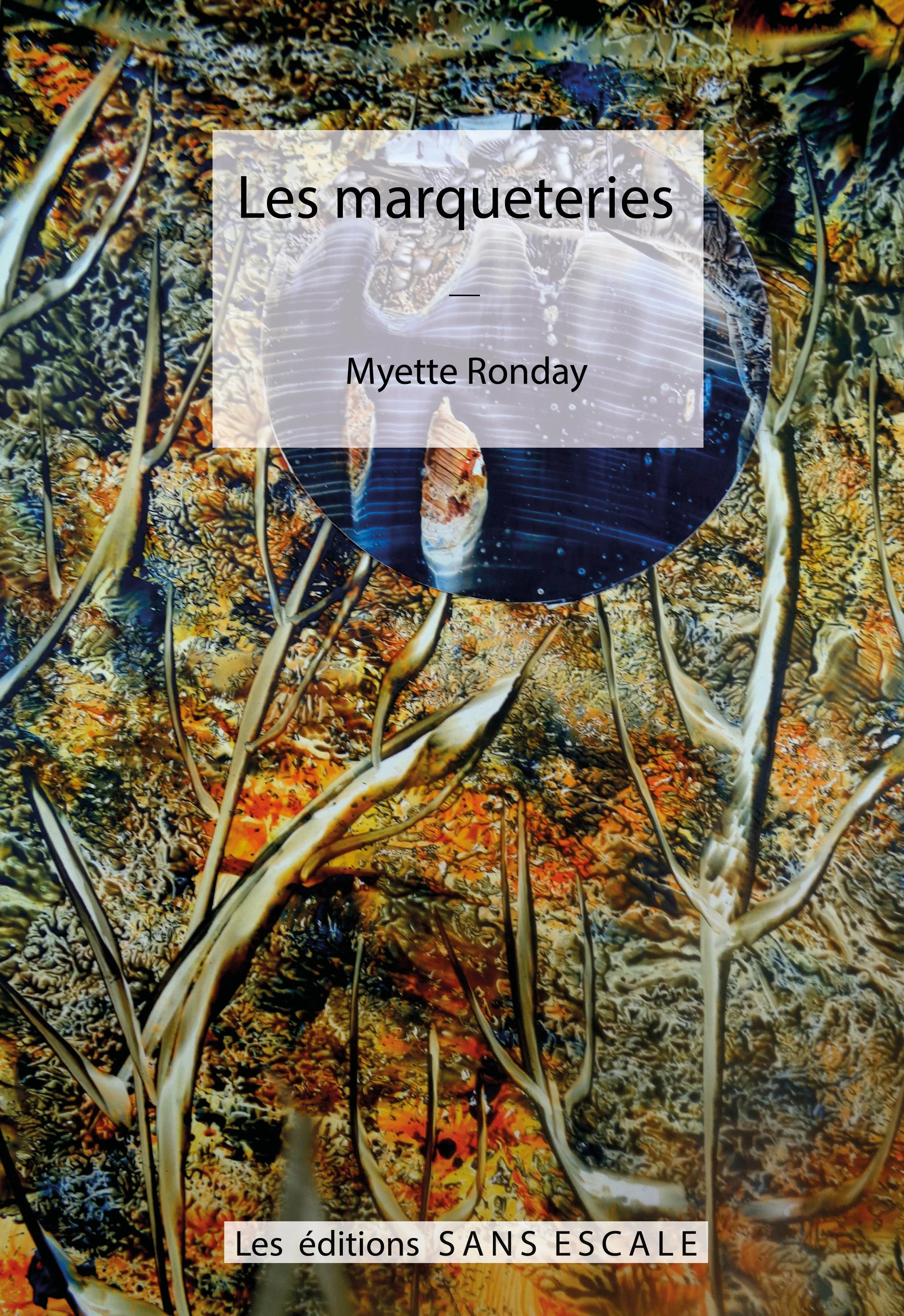 Couverture Les marqueteries(2).jpg