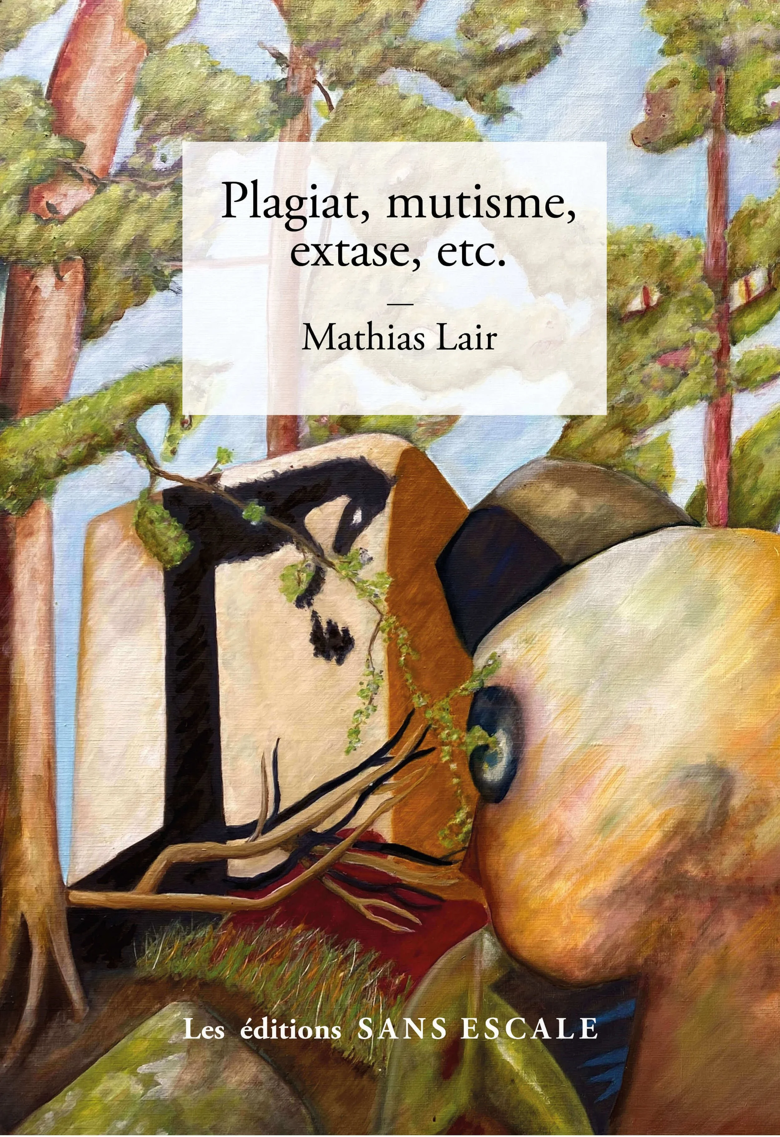 Couverture plagiat Mathias lair (1) (1).jpg