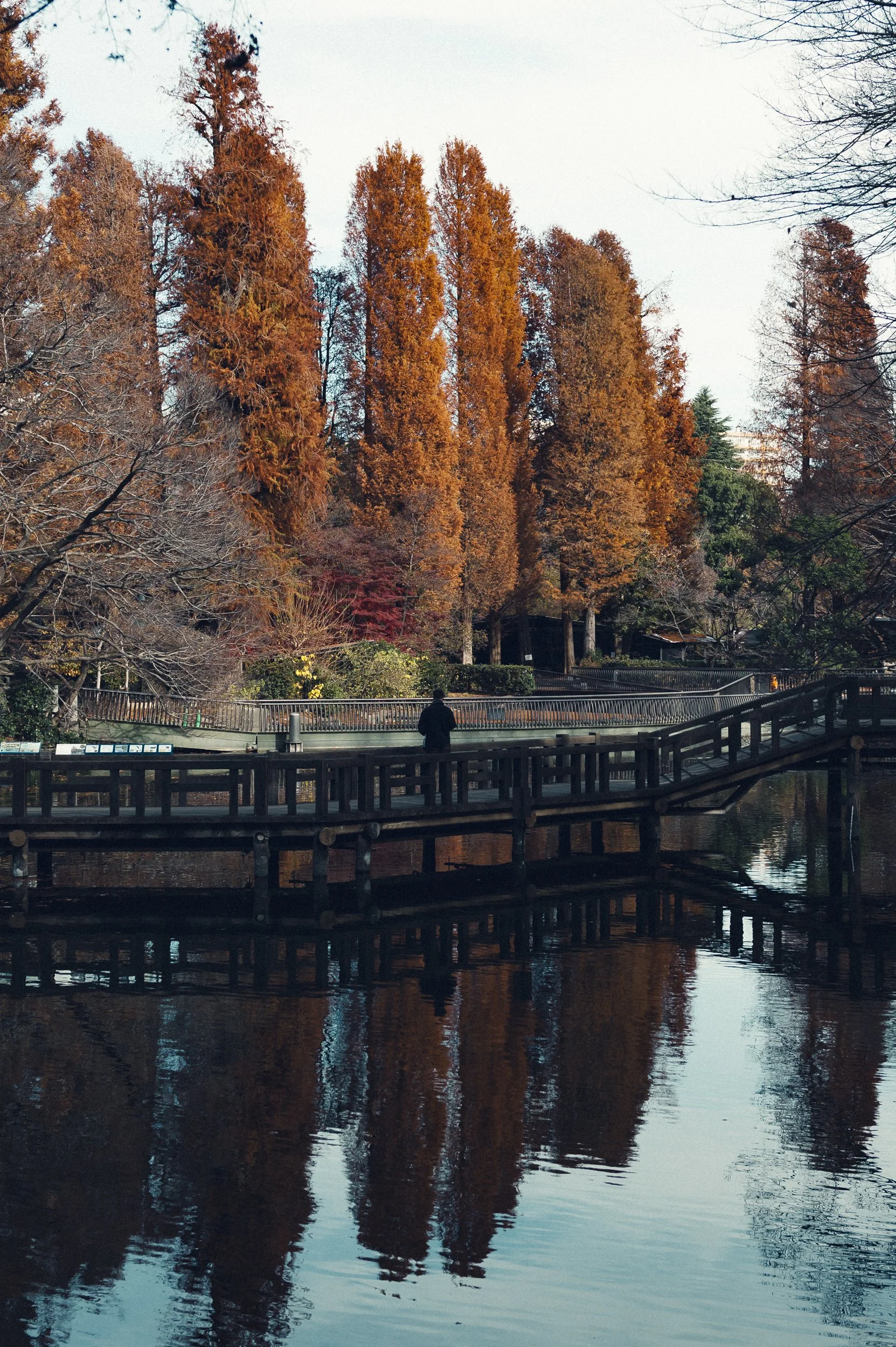 632.jpg