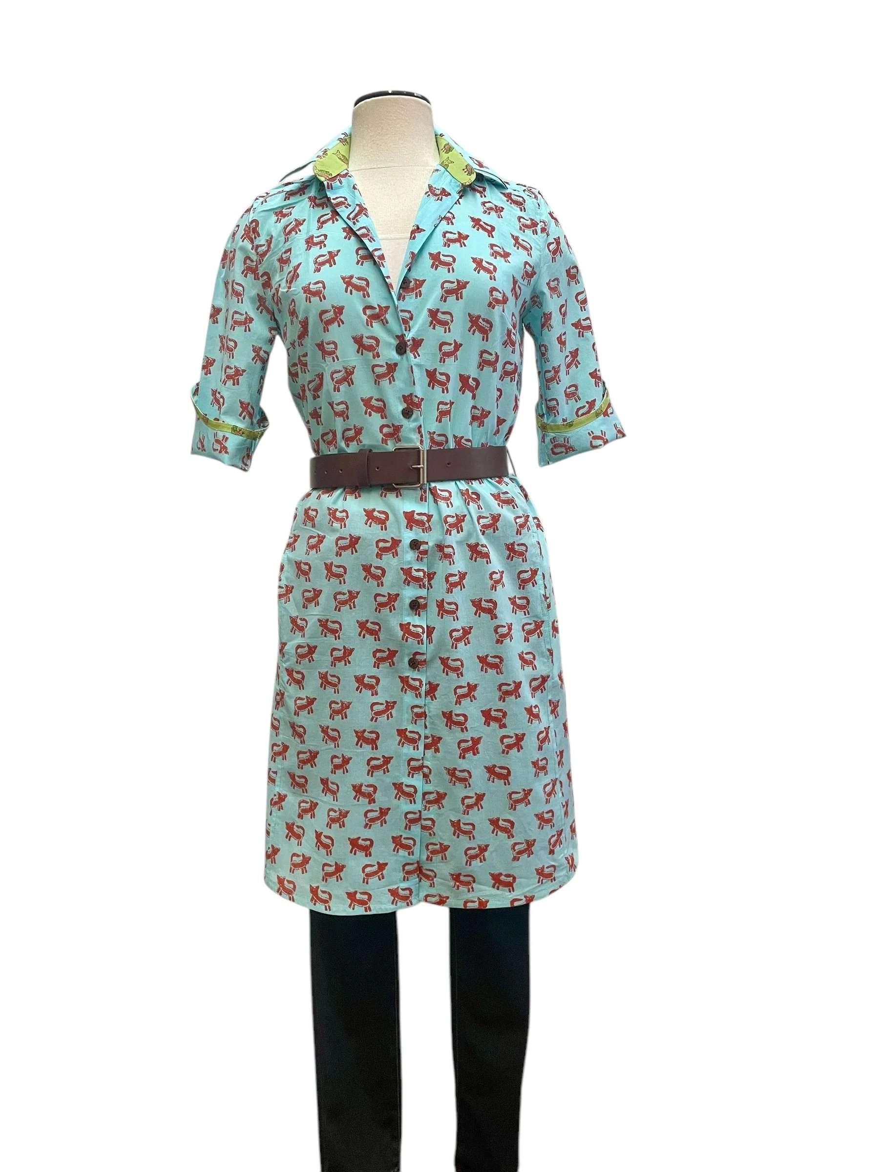 tiger tiger aqua and orange