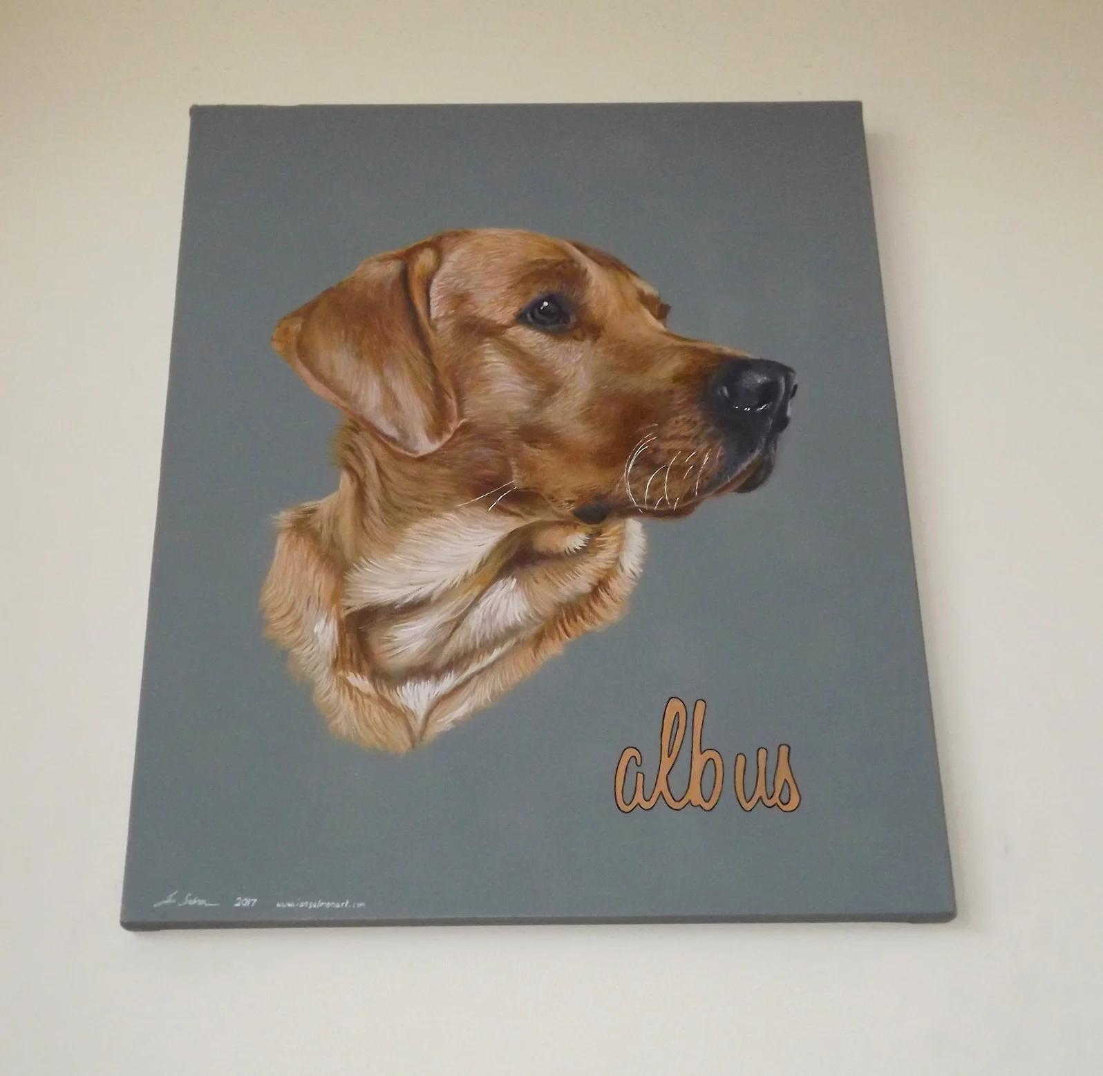 Ian Salmon Albus Labrador Dog portrait 2.jpg