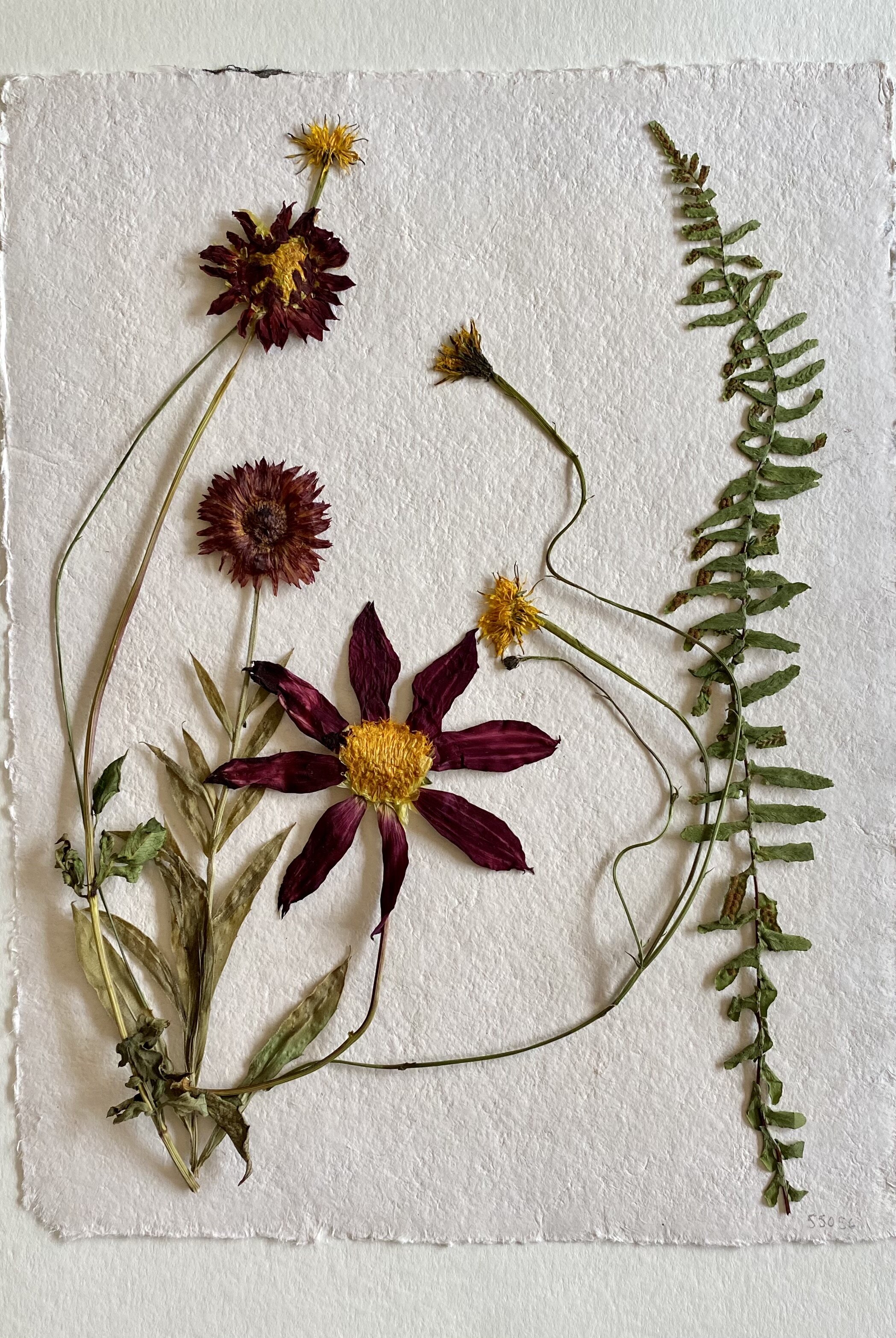 Methods of Flower Preservation (Feb 20th) — Sarah K. Faucette