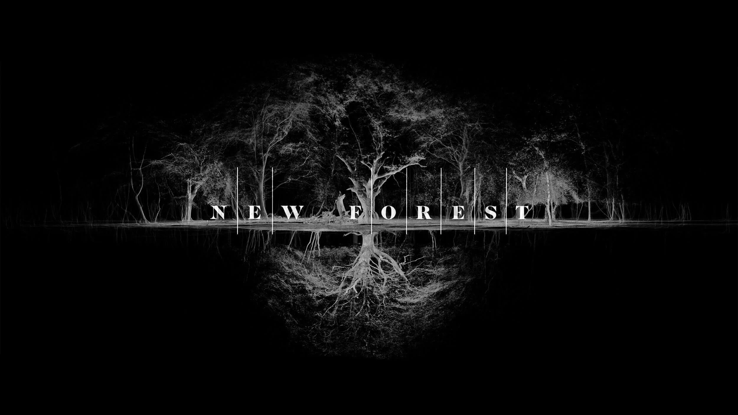 Arte Mira Simul  ·  Astonishing Art Together