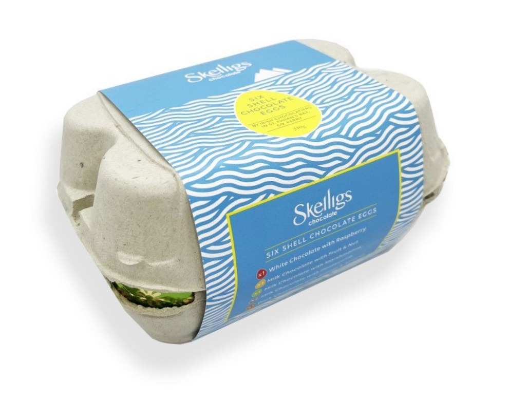 Skelligs Easter Shell Egg Box 240g